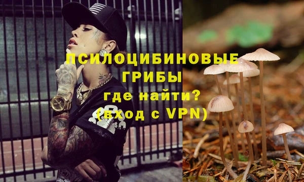 хмурый Абдулино